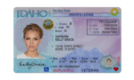US Idaho Driver's License USA Driver License Template V1&2