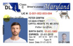 US Maryland Driver's License USA Driver License Template
